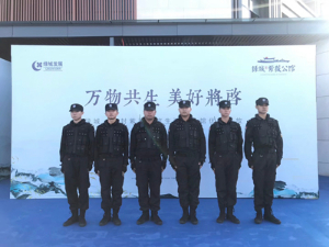 活动安保